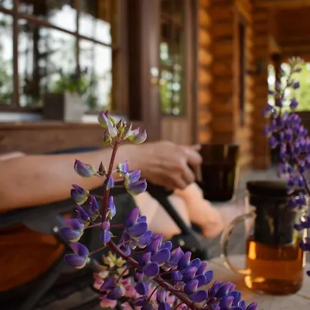 Lomalehto Casa vacanze