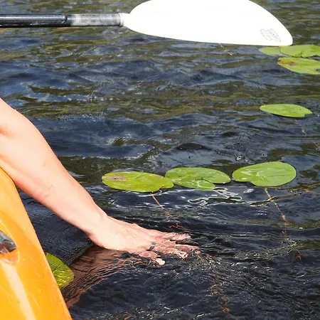 Semesterbostad Lomalehto Kiviapaja