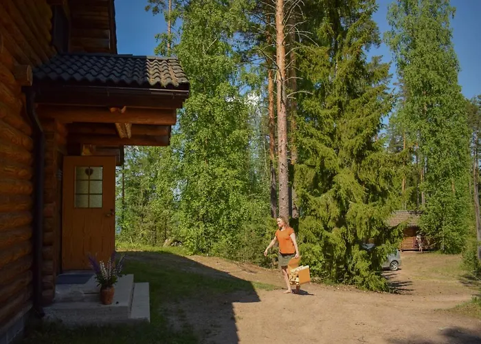 Lomalehto 度假居 *