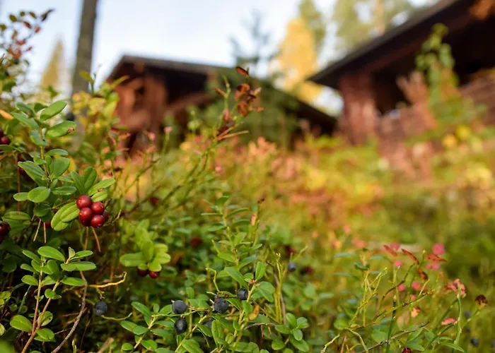 Lomalehto * Kiviapaja